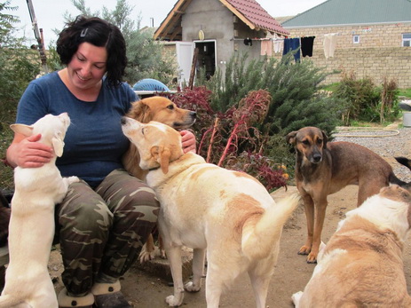 Незрин Мамедбейли: «Мы продали квартиру в городе и переехали в поселок, чтобы разместить больше животных…» - ФОТО