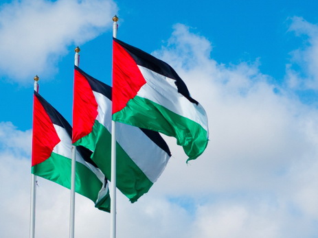Посольство Палестины: Есть силы, пытающиеся внести раздор в азербайджано-палестинское братство - ФОТО