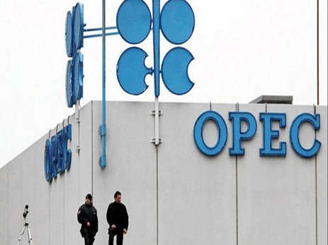 OPEC-in neft hasilatı azalıb