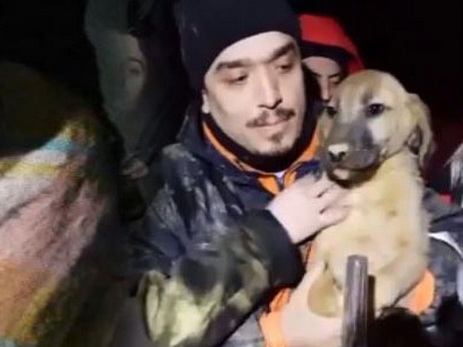 В Стамбуле спасли щенка, 11 дней находившегося в колодце – ФОТО – ВИДЕО