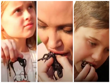 Анджелина Джоли накормила детей тарантулами и скорпионами – ФОТО – ВИДЕО