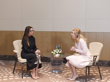 Первый вице-президент Мехрибан Алиева встретилась с послом доброй воли ЮНЕСКО Марианной Вардинояннис