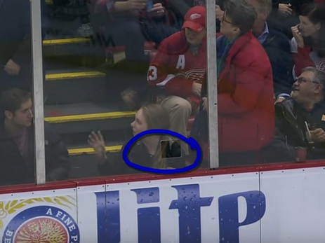 Хоккеист на матче НХЛ разбил лицо болельщику через щель в ограждении - ВИДЕО