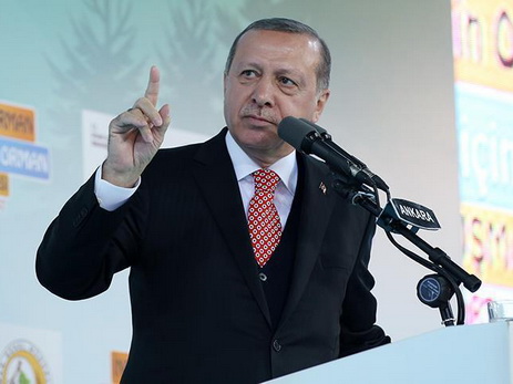 Эрдоган: Турция потребует ответа на попытки давления в свой адрес