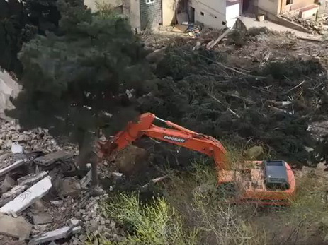 Сотрудники Минэкологии проводят разбирательство на месте массовой вырубки деревьев в Баку - ФОТО - ВИДЕО - ОБНОВЛЕНО