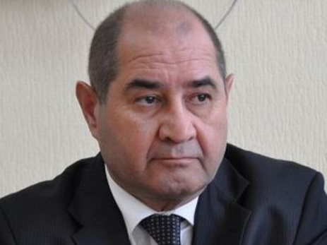 Не исключено, что гранты ЕС, выделяемые Армении, создают условия для военных учений  - Мубариз Ахмедоглу