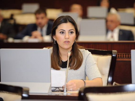 Депутат: Сегодня Милли Меджлис продолжает демократические традиции парламента АДР