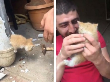 Жест доброты. В Баку молодой человек спас котенка из водосточной трубы - ВИДЕО