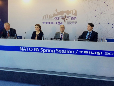 На мероприятии НАТО в Тбилиси говорили о нагорно-карабахском конфликте - ФОТО