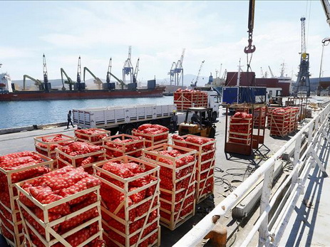 Турция направила в Катар 4 тысячи тонн продовольствия