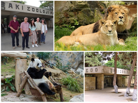 Зачем Баку новый зоопарк?