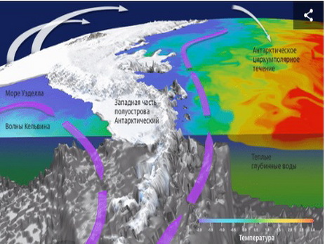 Ученые выяснили, почему льды на западе Антарктики тают необъяснимо быстро