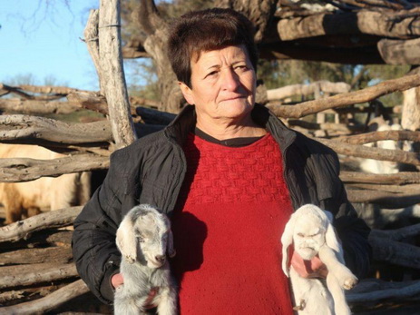 В Аргентине появился на свет козленок-мутант с «человеческим лицом» - ФОТО - ВИДЕО