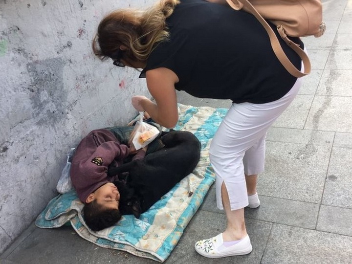 История одной дружбы: как сирийский мальчик и собака нашли друг друга на улицах Стамбула – ФОТО – ВИДЕО