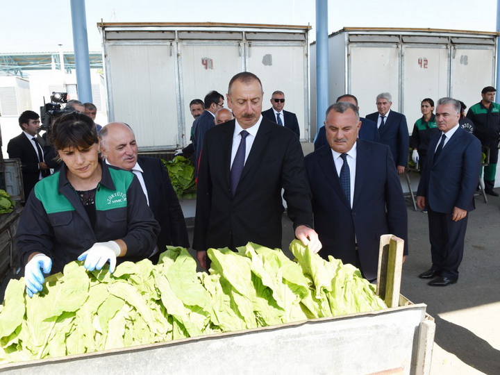 Азербайджан возвращает утерянные позиции в традиционных для него отраслях сельского хозяйства