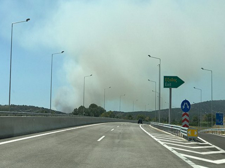 Власти Греции заявили о спланированных массовых поджогах лесов в стране