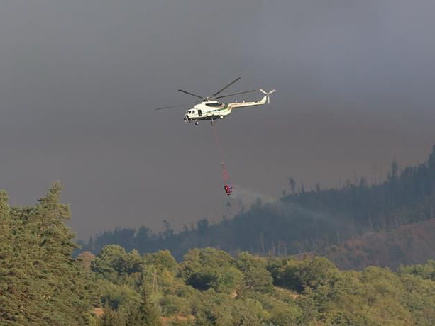 МЧС и Госпогранслужба АР направили дополнительные силы для тушения пожаров в Грузии – ФОТО – ОБНОВЛЕНО
