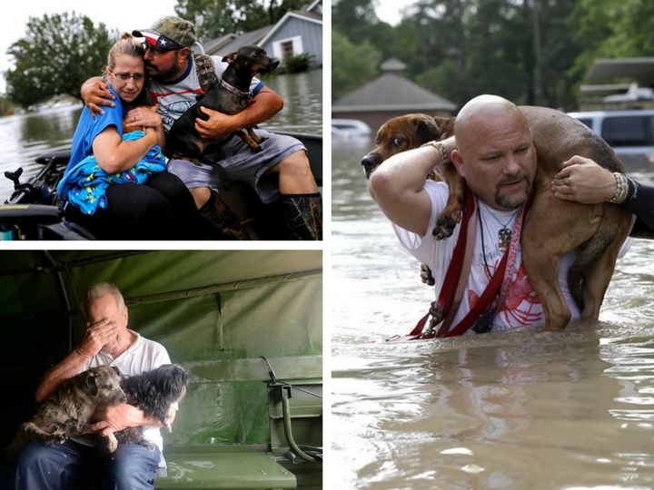 Трогательные кадры спасения животных после урагана Харви - ФОТОРЕПОРТАЖ