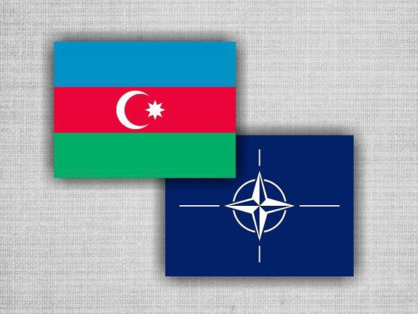 Азербайджан и NATO начинают новую фазу проекта «Джейранчель»