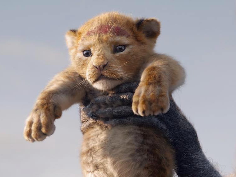 Трейлер ремейка «Короля Льва» побил рекорд по просмотрам – ВИДЕО