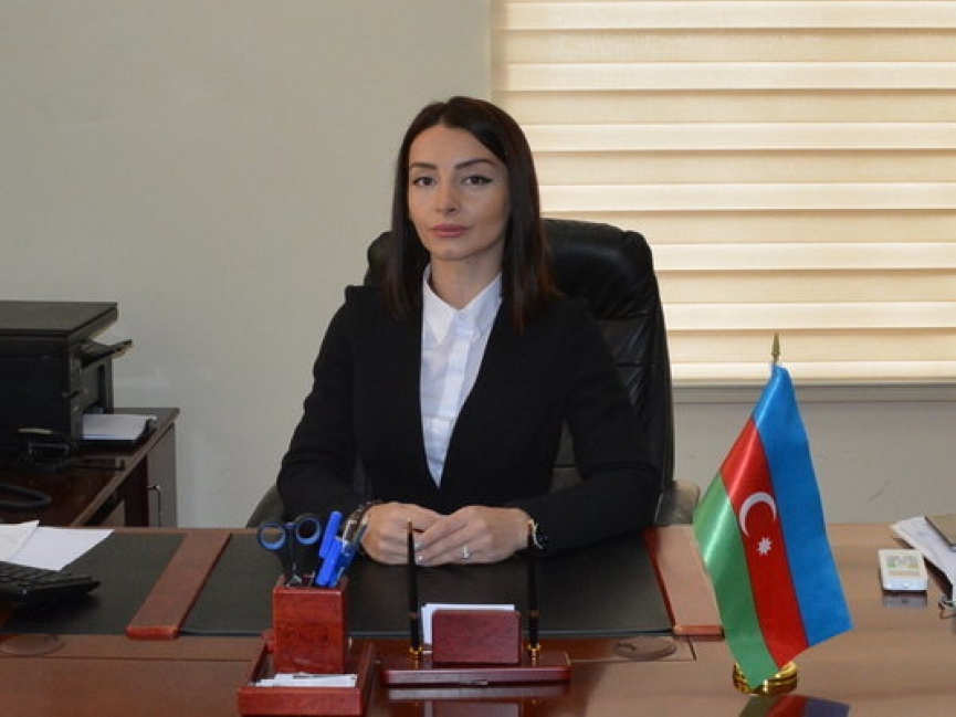 Лейла Абдуллаева о проведении фальшивых «выборов» на оккупированных территориях Азербайджана