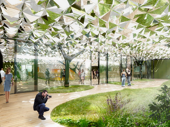 Лес посреди офиса - новый проект голландских архитекторов - ФОТО