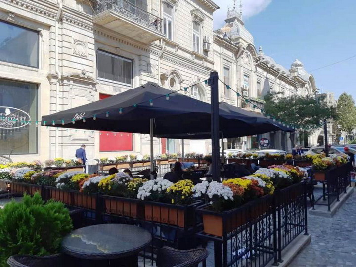 Предприниматели Баку активно озеленяют столицу - ФОТО