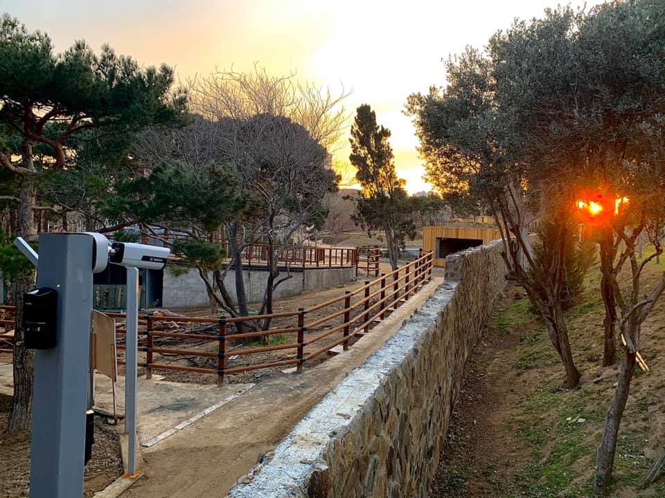 Бакинский зоопарк предстает в новом облике: Жирафы, зебры и просторные вольеры - ФОТО - ПОДРОБНОСТИ