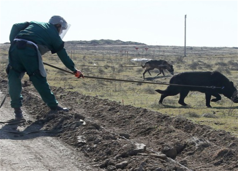 Biden Must Press Armenia to Hand Over Minefield Maps