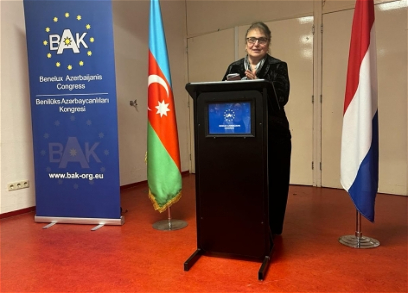 В Роттердаме прошла конференция по Западному Азербайджану - ФОТО