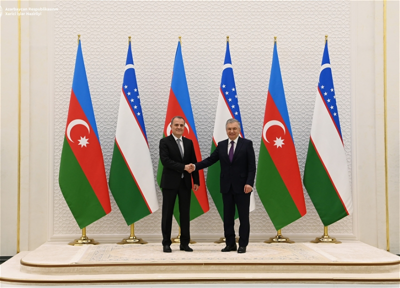 Министр иностранных дел Азербайджана встретился с Президентом Узбекистана - ФОТО