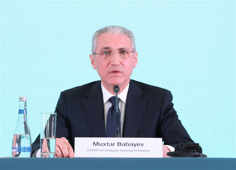 Президент COP29: Зеленый переход входит в число национальных приоритетов Азербайджана