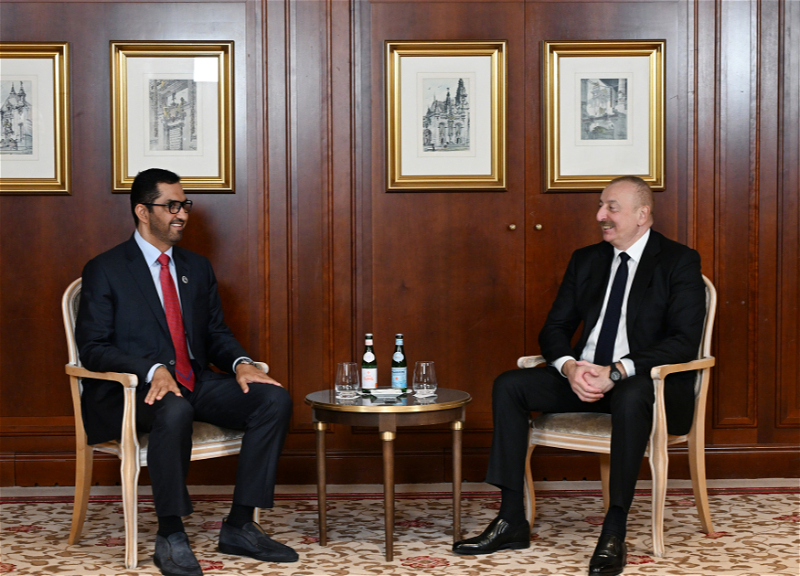 В Берлине прошла встреча Ильхама Алиева с министром промышленности и передовых технологий ОАЭ - ФОТО