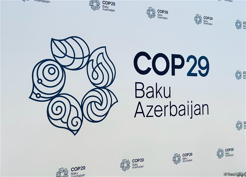 В ООН создана рабочая группа по поддержке Азербайджана в процессе COP29
