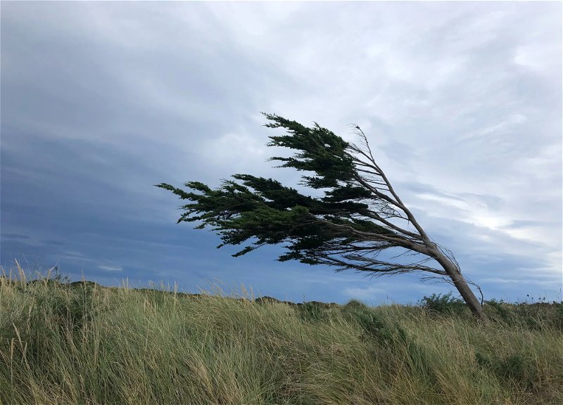 В Азербайджане в ближайшие два дня ожидается сильный ветер